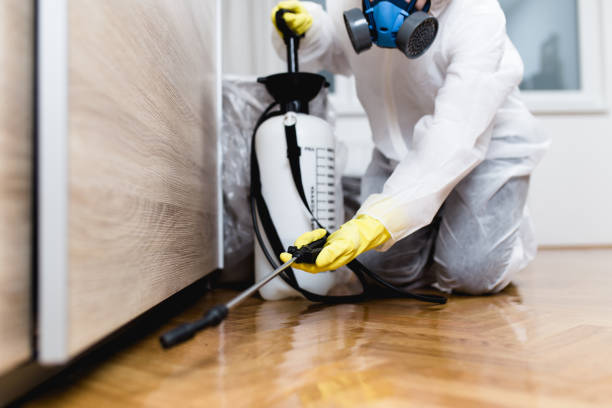 Best Residential Pest Control  in Leadington, MO