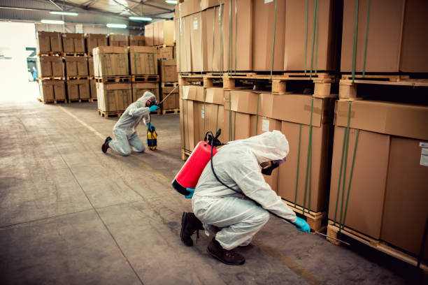 Best Residential Pest Control  in Leadington, MO
