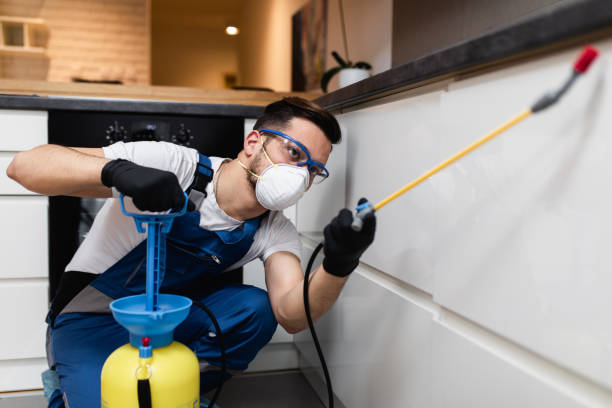 Best Exterminator Services  in Leadington, MO