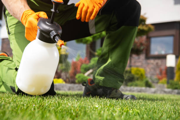 Best Bed Bug Extermination  in Leadington, MO