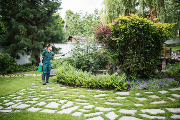 Best Affordable Exterminators  in Leadington, MO