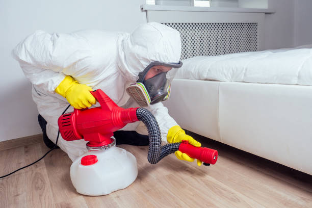 Best Cockroach Control Services  in Leadington, MO