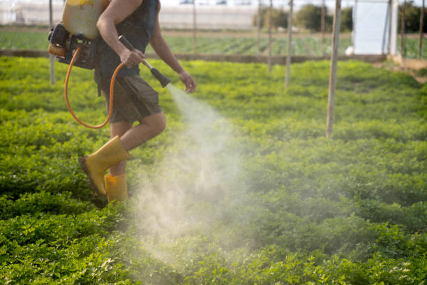 Best Commercial Pest Control Services  in Leadington, MO