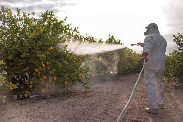 Best Best Pest Control Companies  in Leadington, MO
