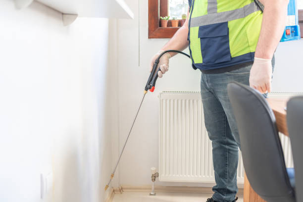 Best Pest Control Near Me  in Leadington, MO
