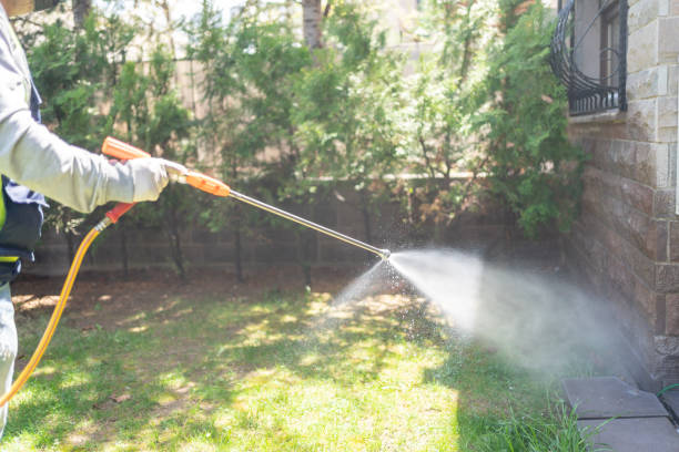Best Pest Prevention Services  in Leadington, MO