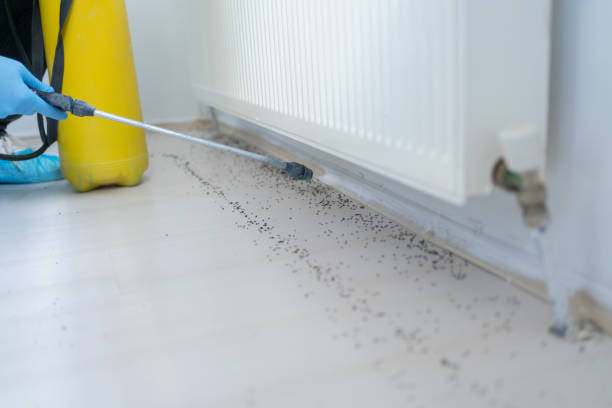 Best Best Pest Control Companies  in Leadington, MO